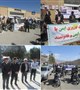 مانور ایمنی